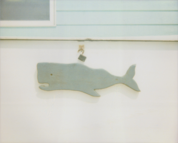 Whale Lock - Jena Ardell