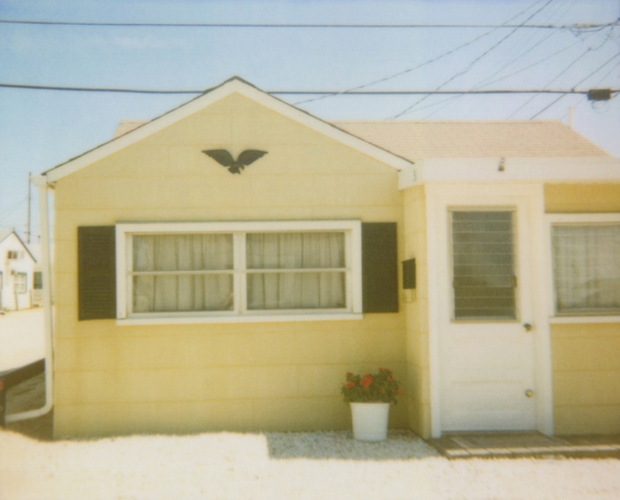 Yellow Eagle - Jena Ardell