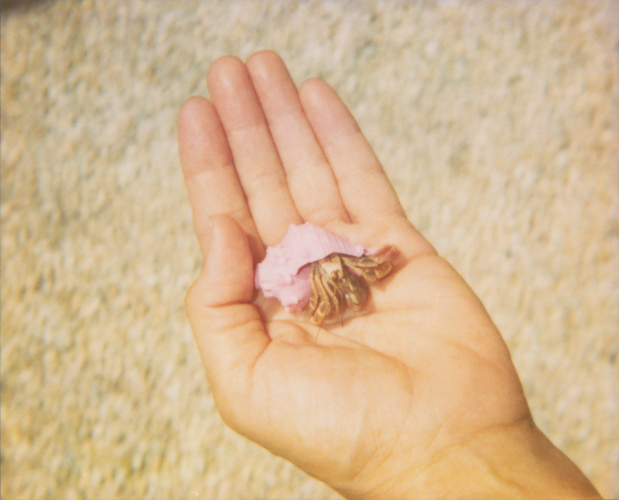 Hermit Crab - Jena Ardell