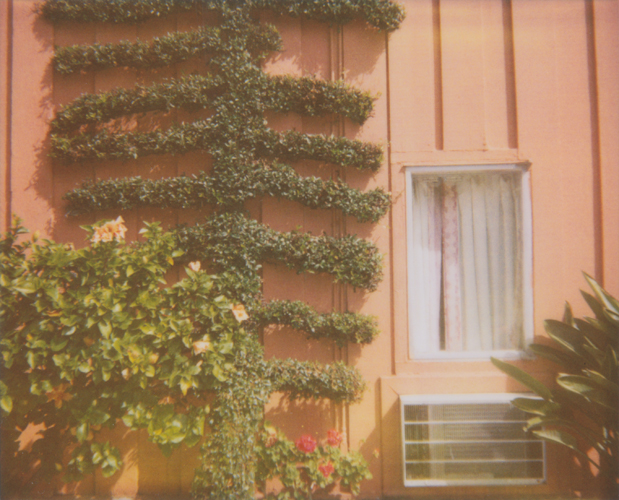 Topiary - Jena Ardell